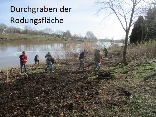 Durchgraben der Rodungsfl&auml;che